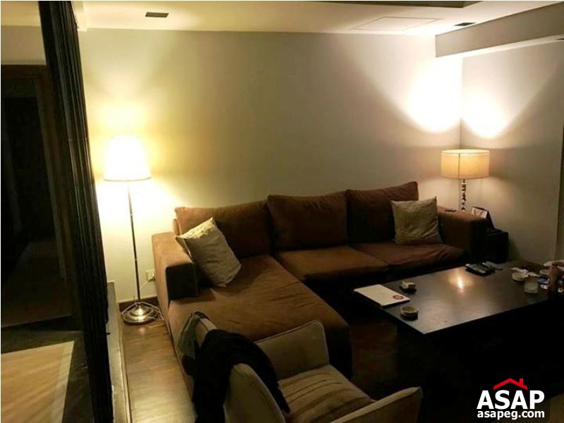 Apartment with Nile View for Rent in Zamalek Apartment with Nile View for Rent in Zamalek