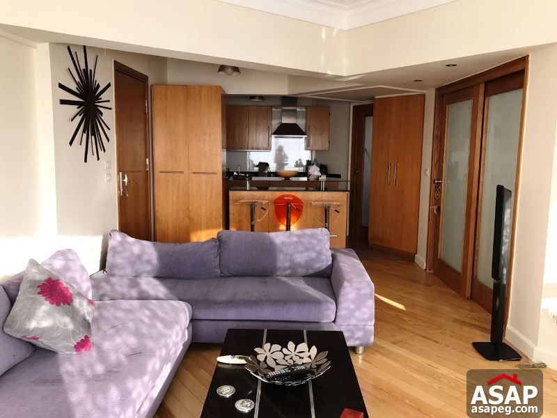 Furnished Studio for Rent in Zamalek Furnished Studio for Rent in Zamalek