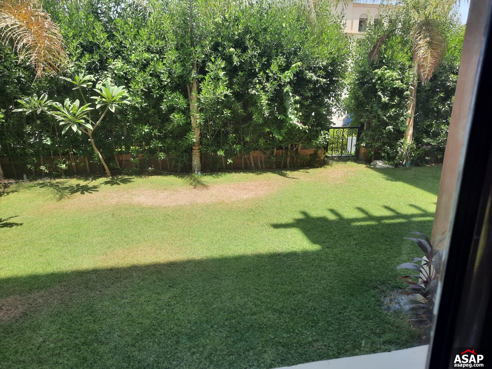 Apartment for rent in Mivida Compound Apartment for rent in Mivida Compound