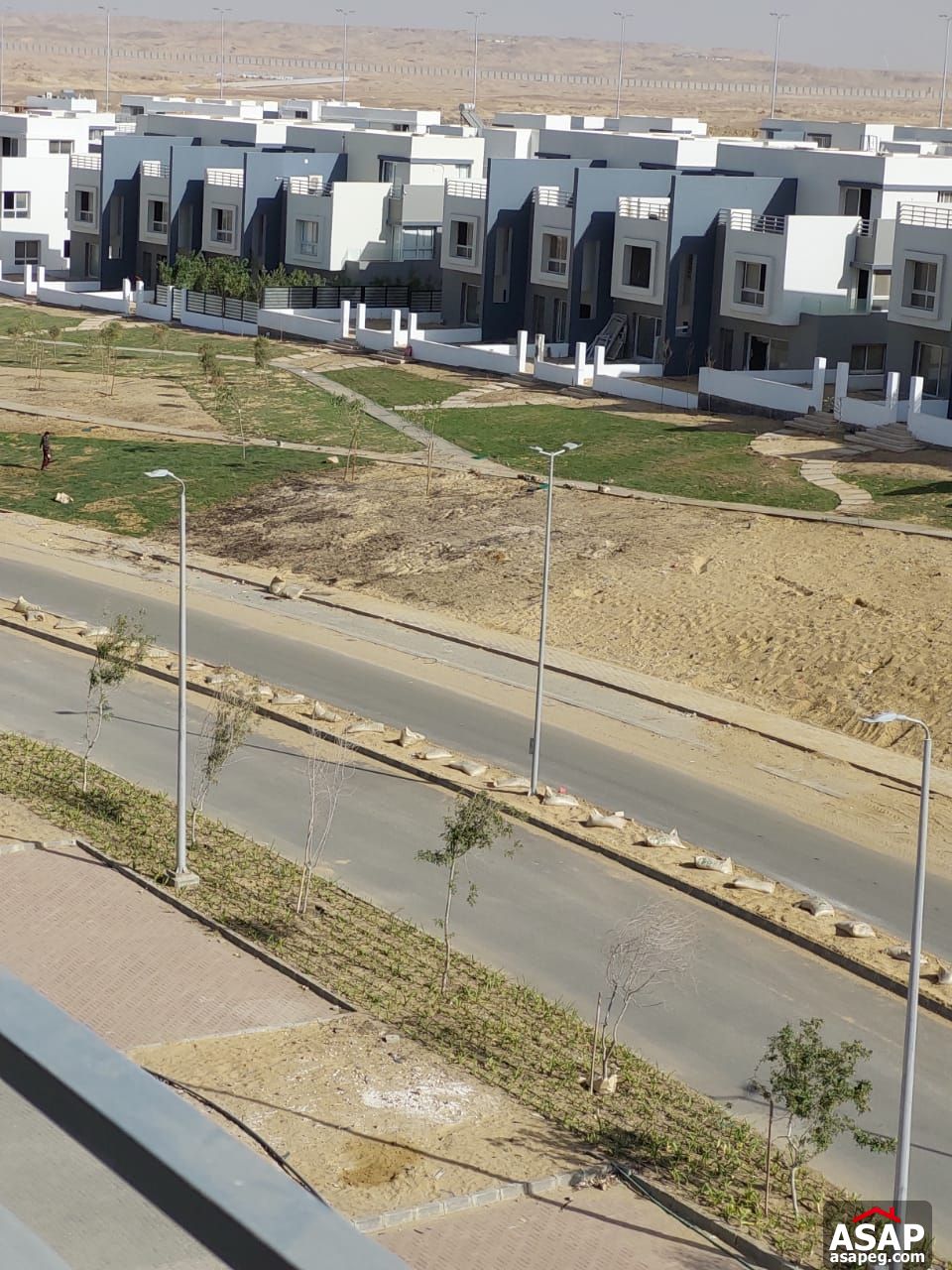 Apartment for Rent in Hyde Park