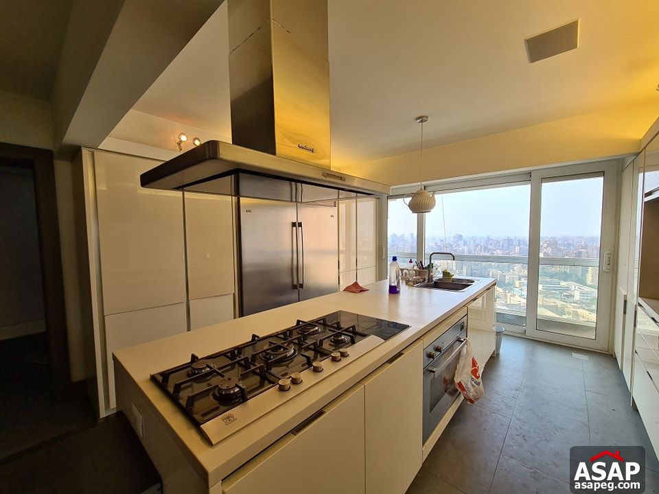 Amazing Apartment for Rent in Zamalek Amazing Apartment for Rent in Zamalek