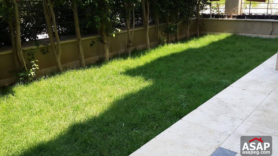 Studio for Rent in the Village Palm Hills