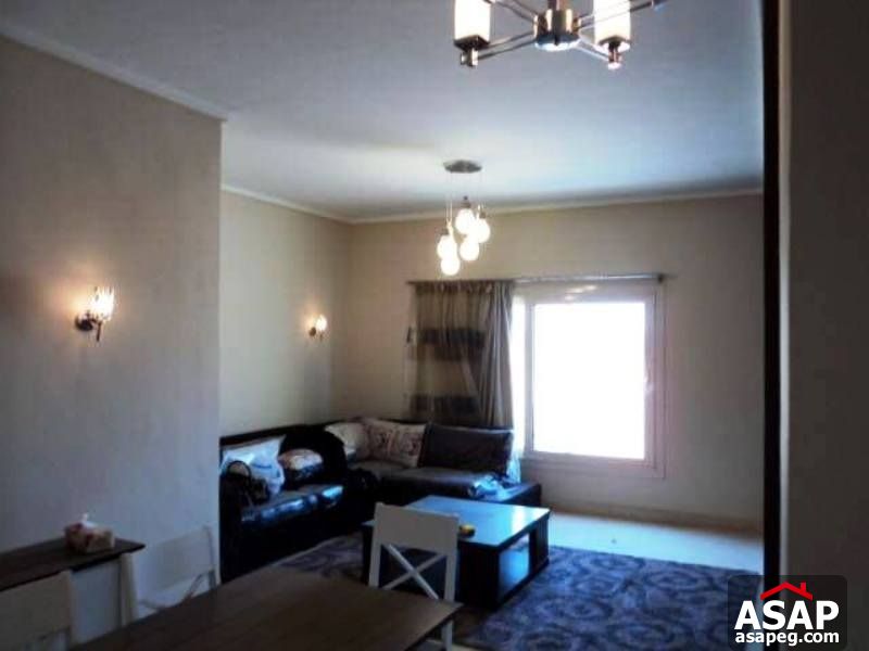 Furnished Studio for Rent in the Village - New Cairo Furnished Studio for Rent in the Village - New Cairo