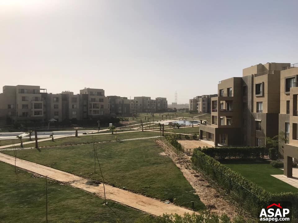 Duplex for Rent in Palm Parks - Sheikh Zayed