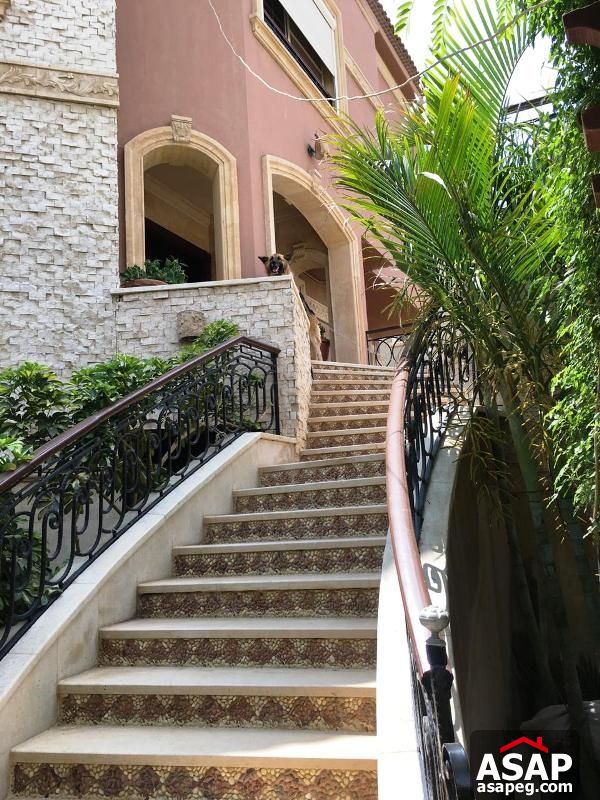 Duplex with Big Garden in Lake View for Rent Duplex with Big Garden in Lake View for Rent