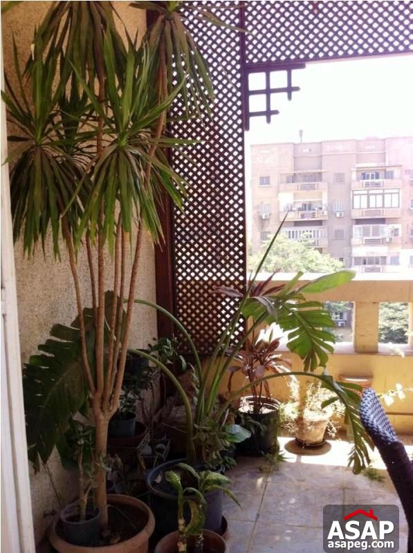 Modern Furnished Apartment in Zamalek for Rent Modern Furnished Apartment in Zamalek for Rent