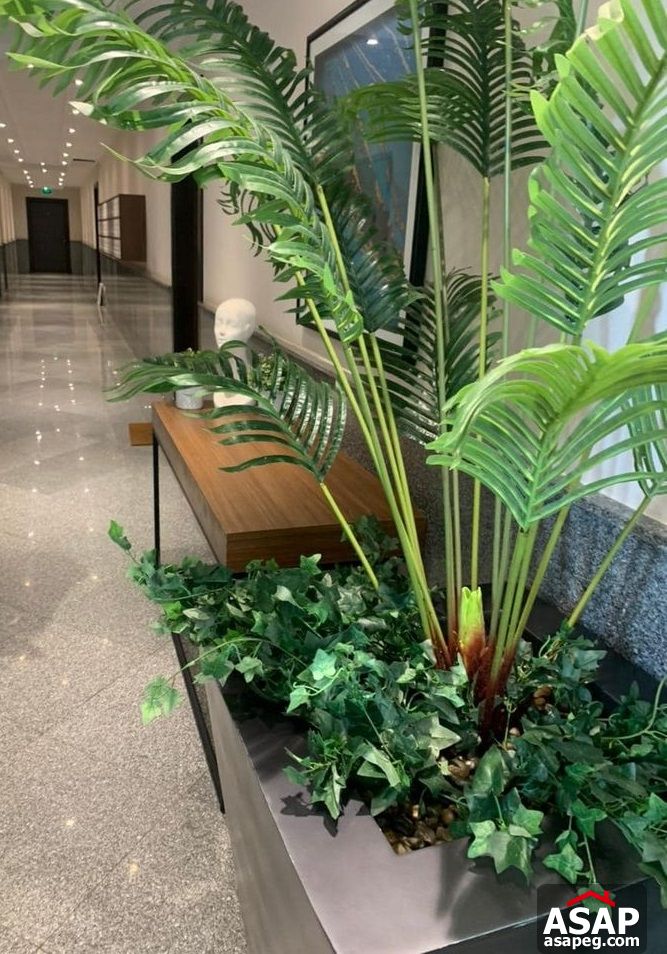 Apartment for Rent in CFC