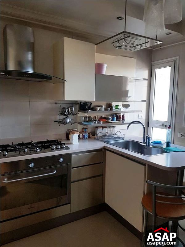 Apartment with Nile View for Sale in Zamalek Apartment with Nile View for Sale in Zamalek