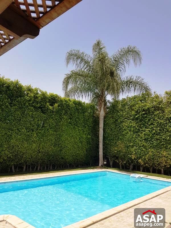 Villa for Rent in Katameya Heights