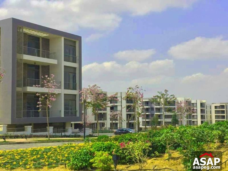 Apartment with Lake View for Sale in Taj City Apartment with Lake View for Sale in Taj City