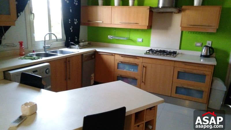 Nice Furnished Studio in Agouza Nice Furnished Studio in Agouza