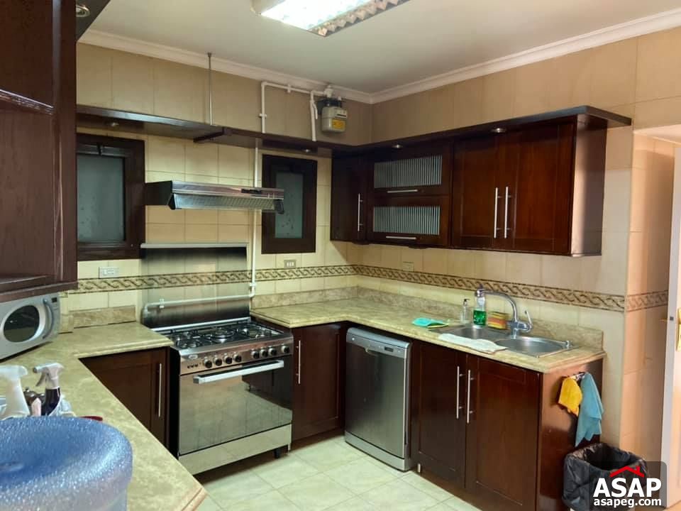 Apartment for Rent in Zamalek Apartment for Rent in Zamalek