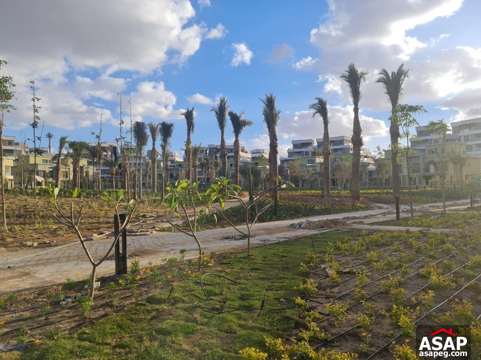 Apartment for Rent in Villette Sodic Apartment for Rent in Villette Sodic