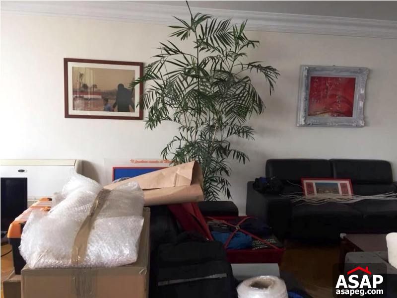 Apartment for Rent in Zamalek Apartment for Rent in Zamalek