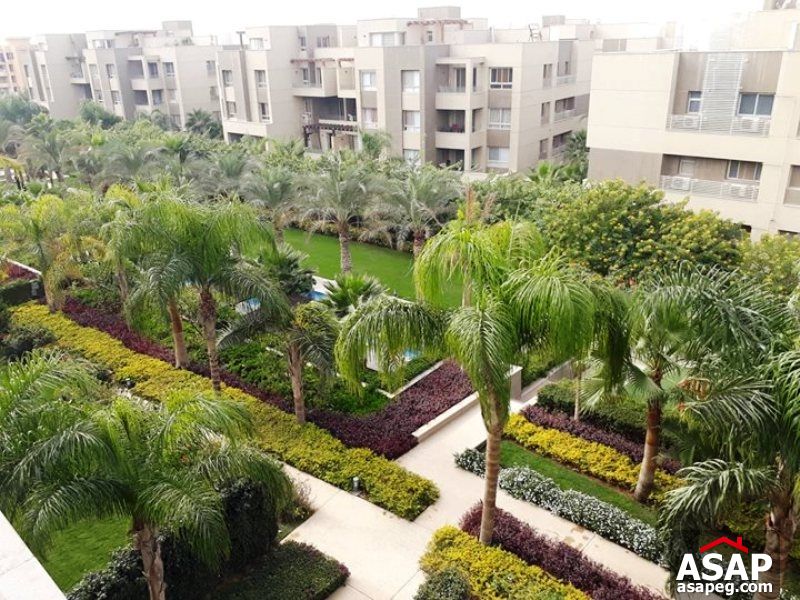 Penthouse for Rent in Park View Penthouse for Rent in Park View