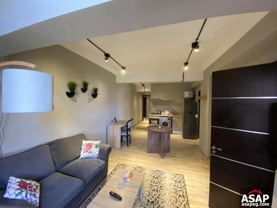 Apartment for Rent in Zamalek Apartment for Rent in Zamalek