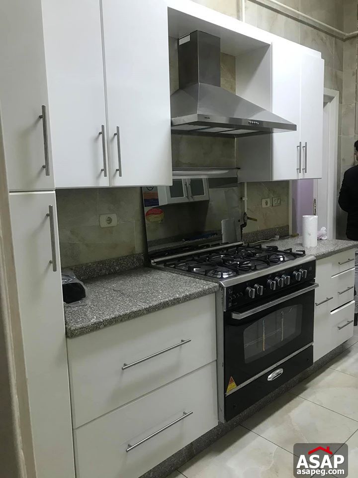 Flat for Rent in Zamalek Flat for Rent in Zamalek