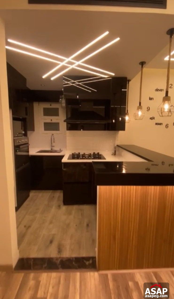 Furnished Apartment for Rent in Hyde Park Furnished Apartment for Rent in Hyde Park