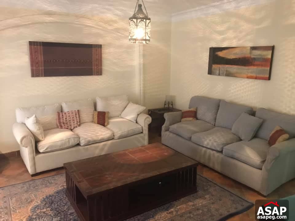 Apartment for Rent in Zamalek Apartment for Rent in Zamalek