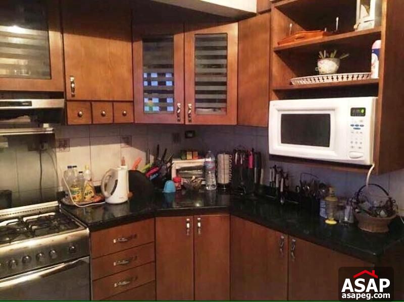 Apartment for Rent in Zamalek Apartment for Rent in Zamalek