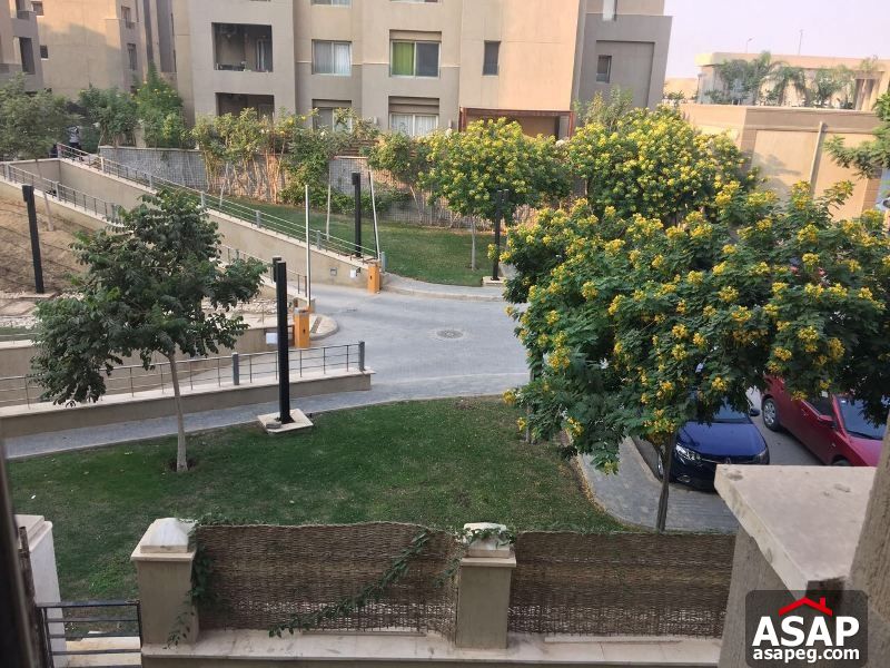 Studio for Rent in the Village Palm Hills Studio for Rent in the Village Palm Hills