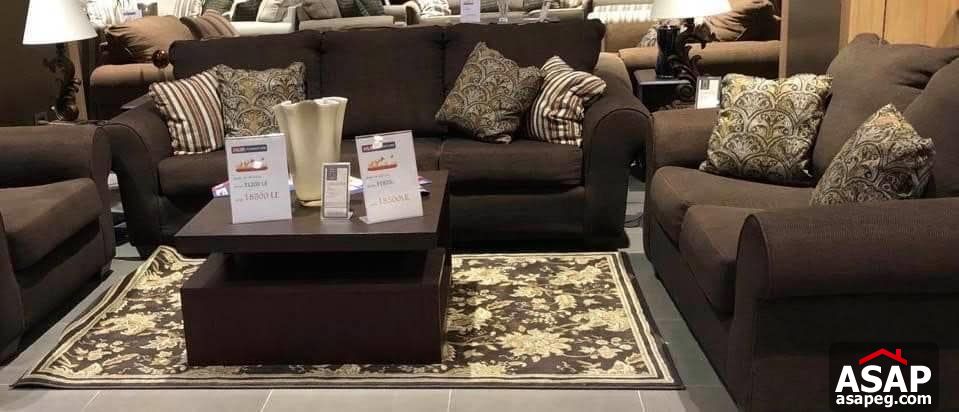 Apartment for Rent in Zamalek Apartment for Rent in Zamalek