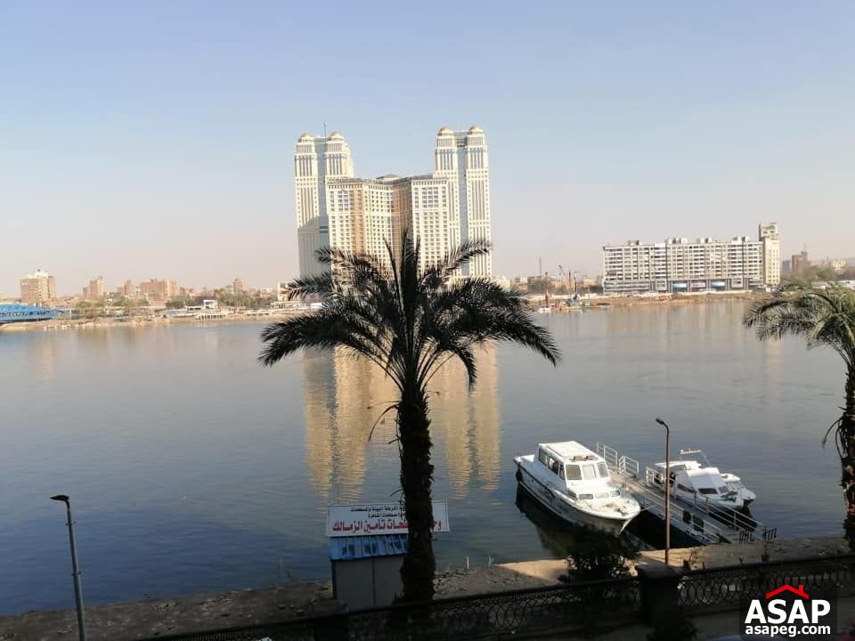 Apartment for Rent in Zamalek Apartment for Rent in Zamalek