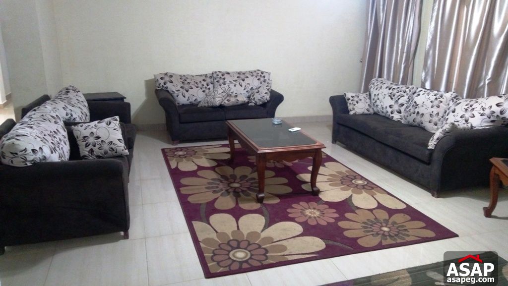 Furnished Apartment with Big Kitchen for Rent in Zamalek