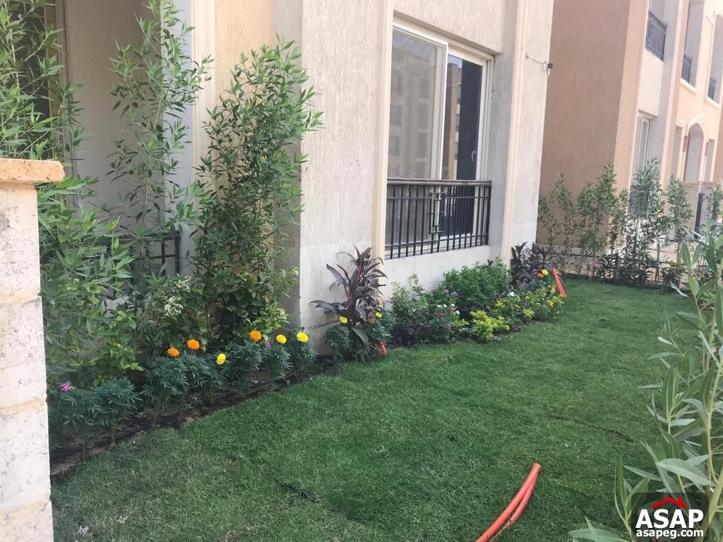 Ground Floor for Rent in Stone Residence Ground Floor for Rent in Stone Residence