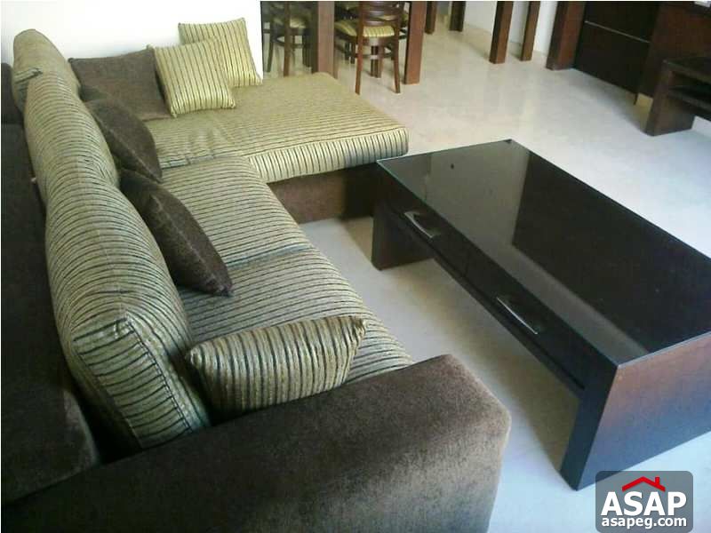 Studio for Rent in the Village Palm Hills Studio for Rent in the Village Palm Hills