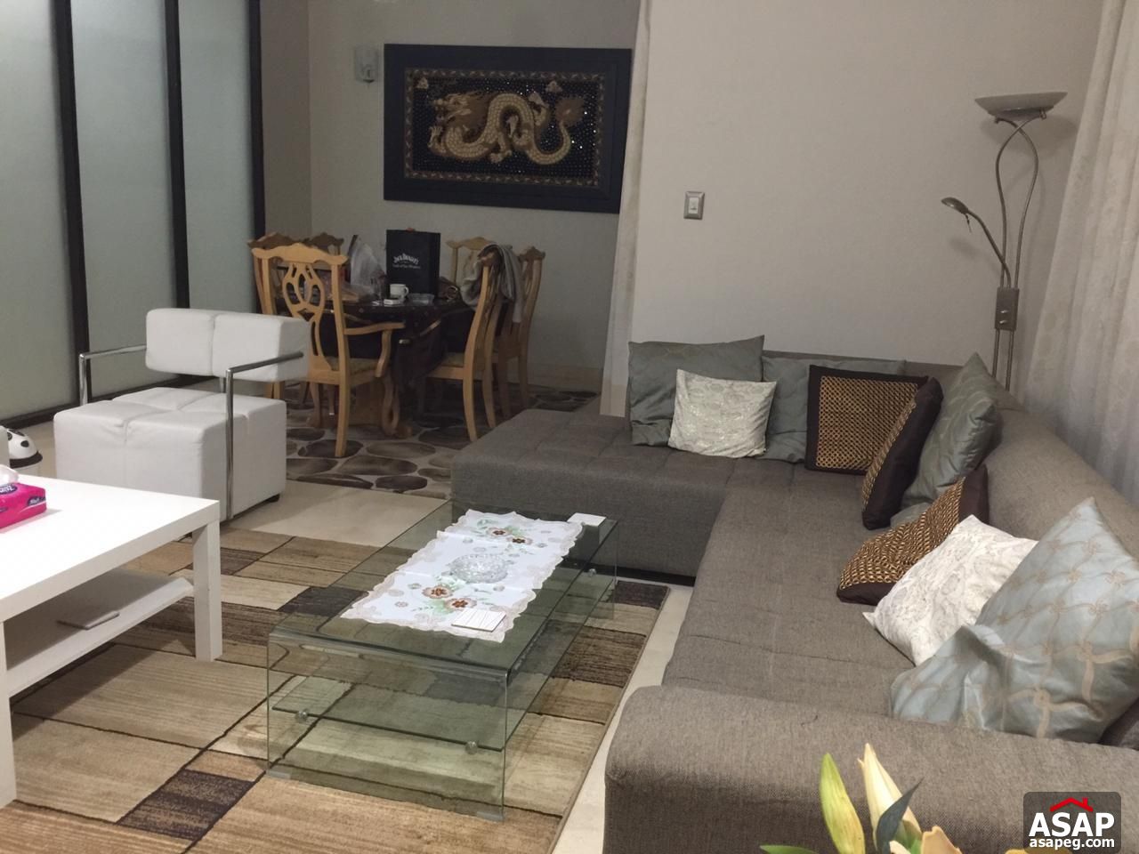 Furnished Apartment for Rent in Village Gate Palm Hills Furnished Apartment for Rent in Village Gate Palm Hills