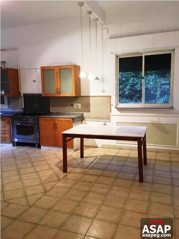 Penthouse with Nile View for Rent in Zamalek Penthouse with Nile View for Rent in Zamalek