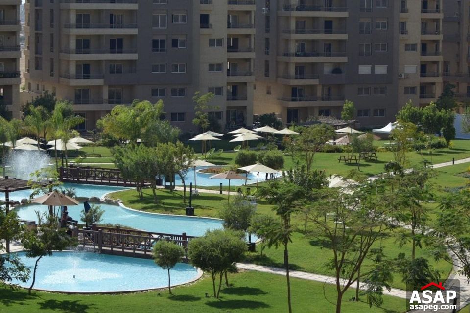 Rent Semi Furnished Apartment in New Cairo Rent Semi Furnished Apartment in New Cairo