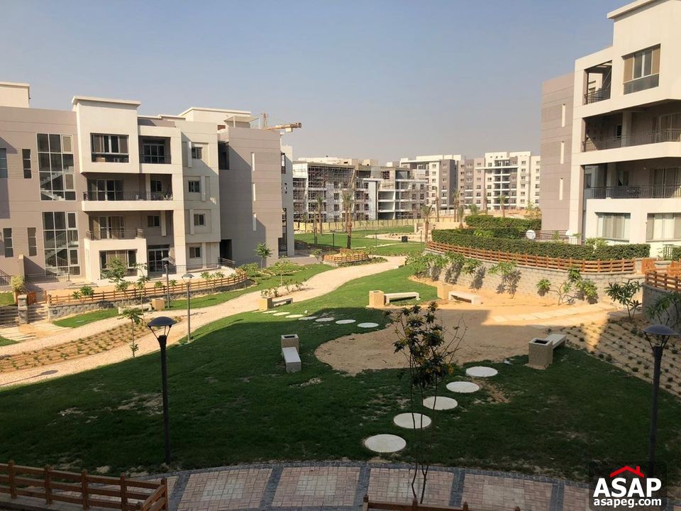 Rent Semi Furnished Apartment in New Cairo Rent Semi Furnished Apartment in New Cairo