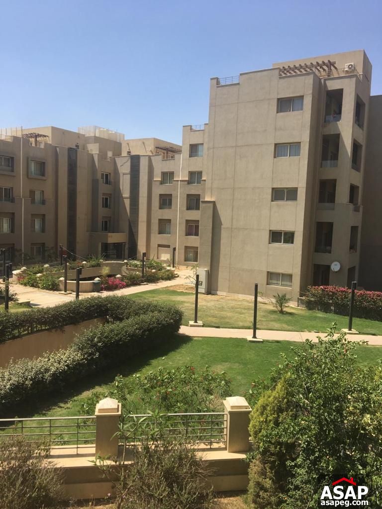 Ground Floor for Rent in the Village Palm Hills Ground Floor for Rent in the Village Palm Hills