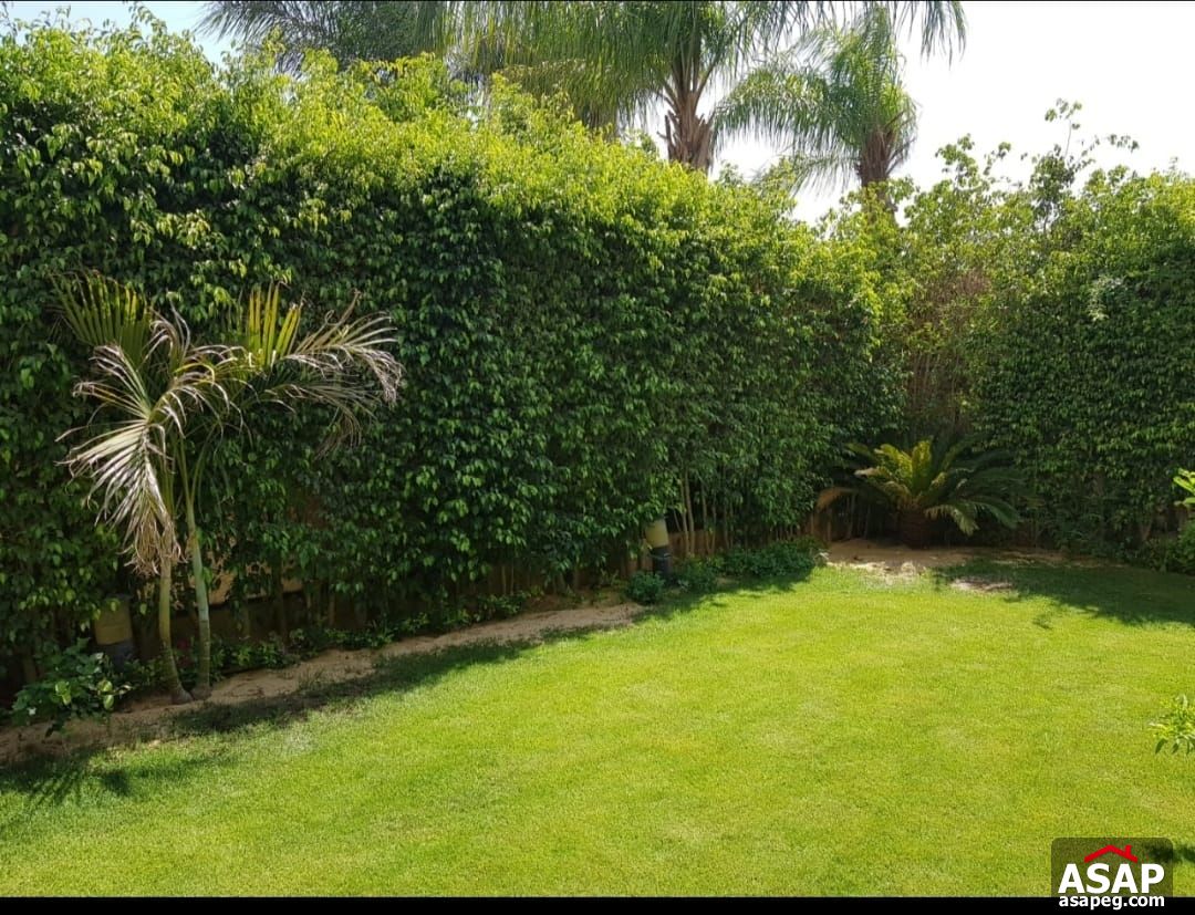 Twin House in Moon Valley Compound Twin House in Moon Valley Compound