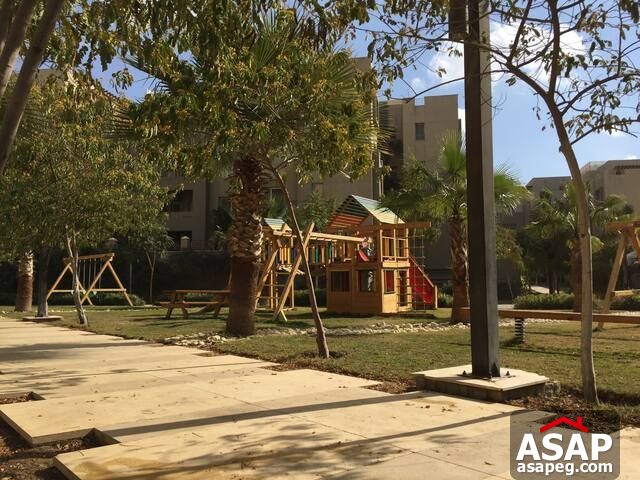 Studio for Rent in the Village Palm Hills Studio for Rent in the Village Palm Hills