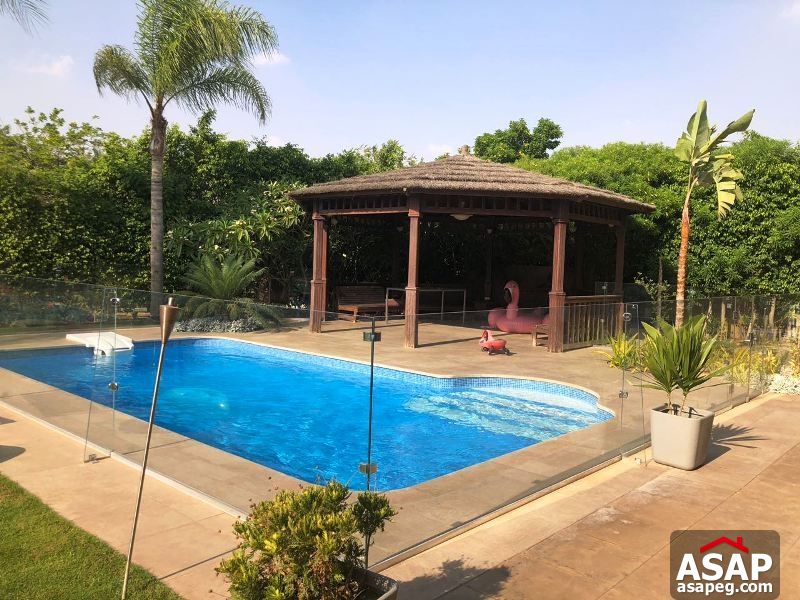 Stand Alone for Rent in Swan Lake Stand Alone for Rent in Swan Lake