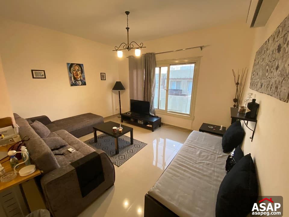 Studio for Rent in The Village Palm Hills Studio for Rent in The Village Palm Hills