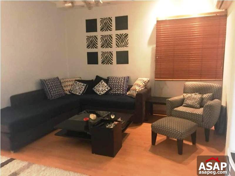 Nice Property in Zamalek for Rent