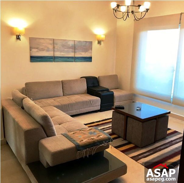 Studio for Sale in the Village Palm Hills Studio for Sale in the Village Palm Hills