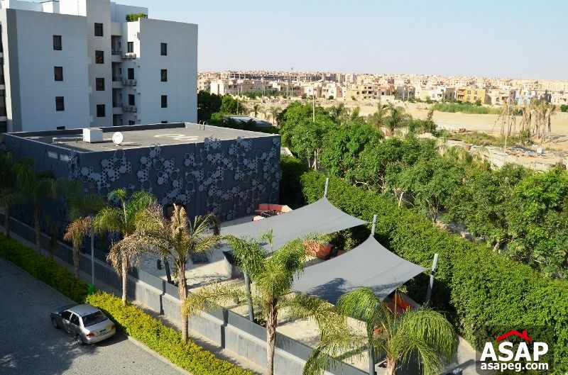 Apartment for Rent in the WaterWay Apartment for Rent in the WaterWay