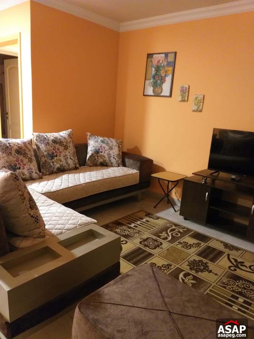 Furnished Apartment for Rent in New Cairo