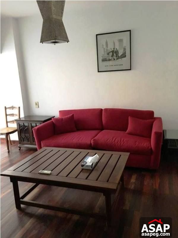 Modern Apartment in Zamalek for Rent