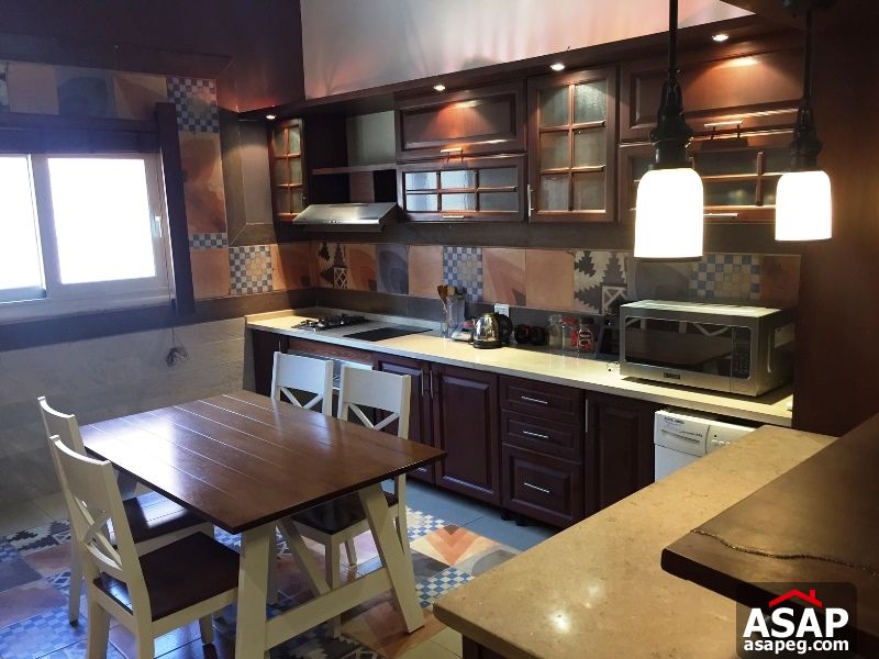 Apartment for rent in zamalek