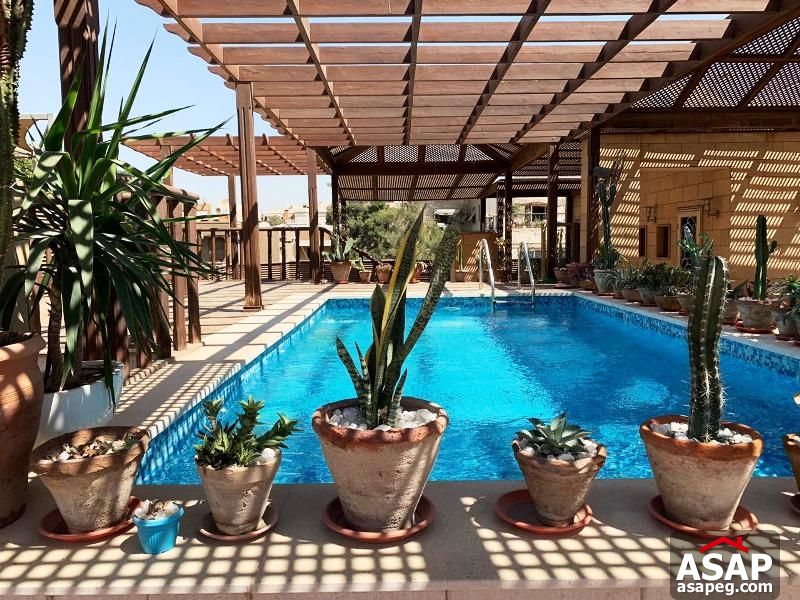 Penthouse with Swimming Pool in Sarayat El Maadi Penthouse with Swimming Pool in Sarayat El Maadi