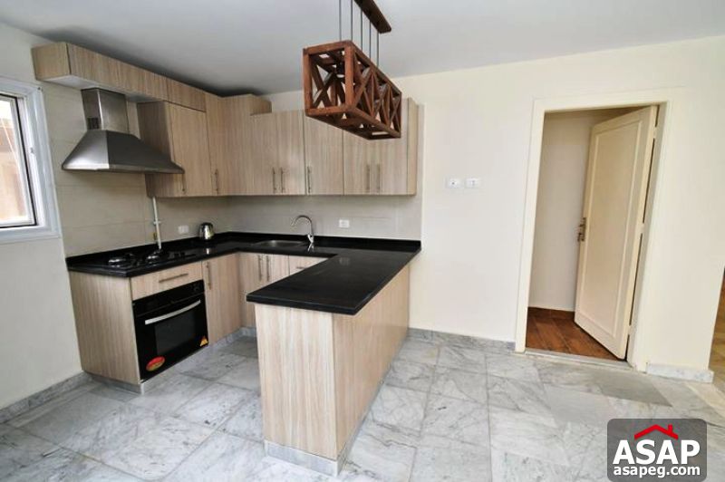 Apartment for Rent in Zamalek Apartment for Rent in Zamalek