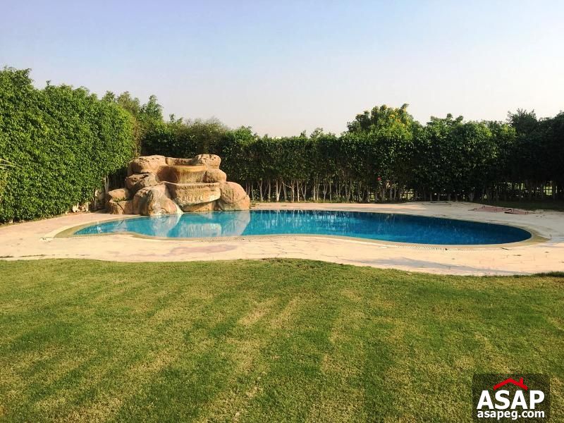 Duplex with Swimming Pool for Rent in Katameya Heights