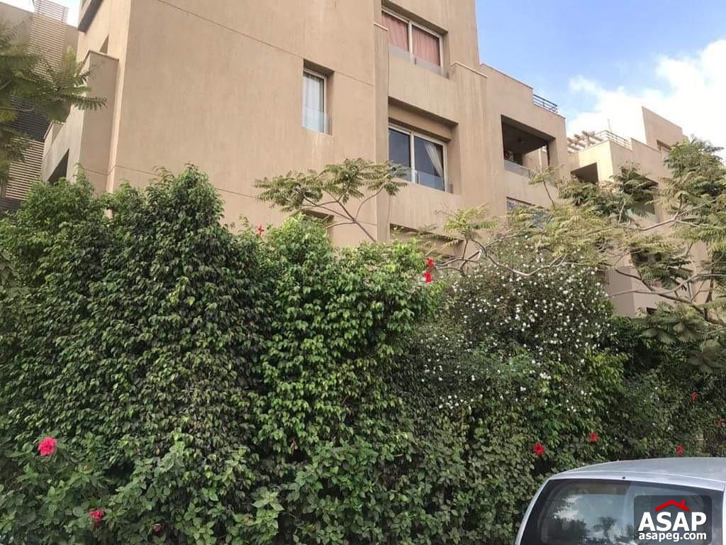 Studio with Garden in the Village - New Cairo Studio with Garden in the Village - New Cairo