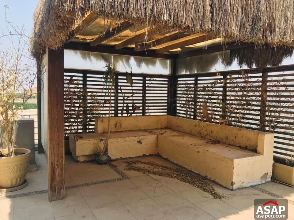 Penthouse for Rent in Bamboo Palm Hills